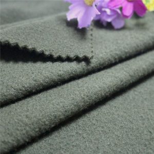 Med Oeko-Tex 100 Standard Polyester Outdoor Jacket Polar Fleece Lining Fabric